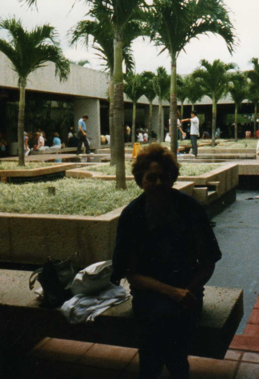Image 36